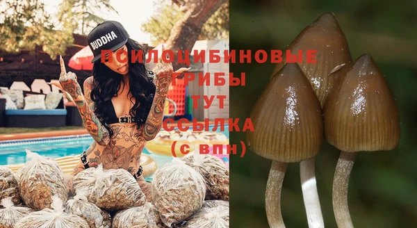 Альфа ПВП Краснослободск
