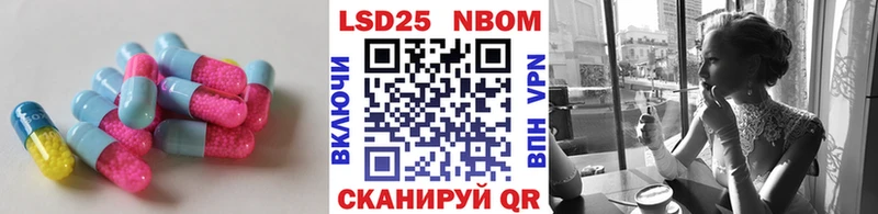 MEGA как зайти Бердск Лсд 25 экстази ecstasy