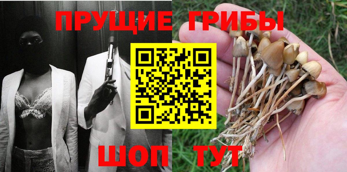 Псилоцибиновые грибы MAGIC MUSHROOMS Бердск