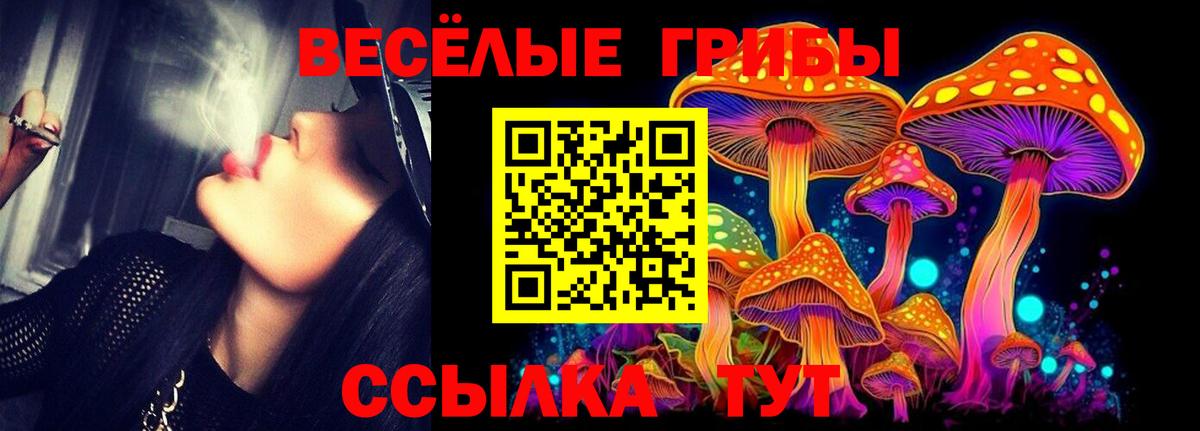 Бердск  Галлюциногенные грибы прущие грибы  Вход с VPN 