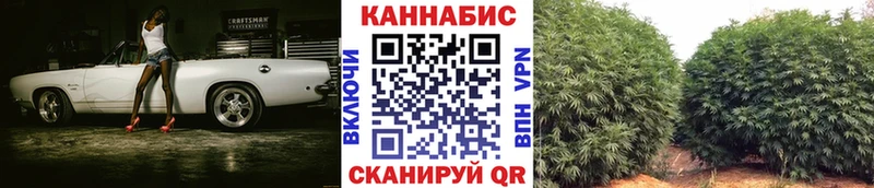 Конопля LSD WEED  Бердск 